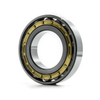 Cylindrical Roller Bearing