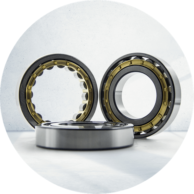 Cylindrical Roller Bearing