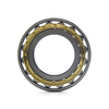 Cylindrical Roller Bearing